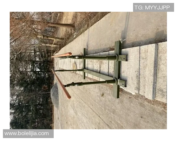 提升力量与灵活性体育健身器材双杠的多种训练方法与技巧分享