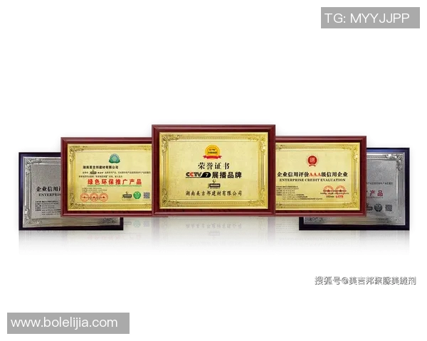 探索体育品牌招商加盟新机遇助力创业者实现梦想与财富增长